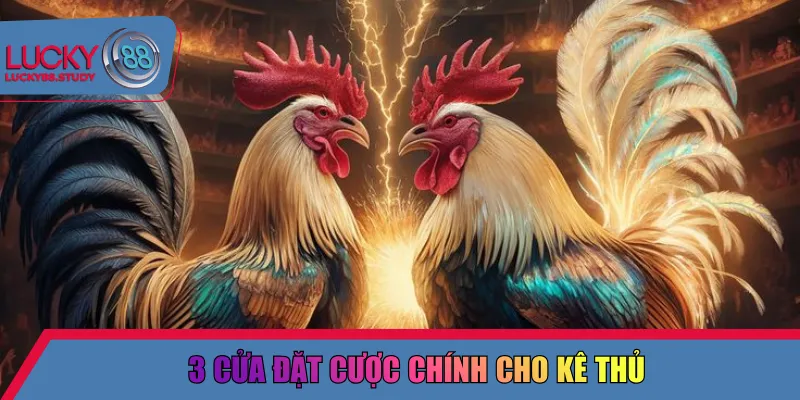 3 cửa đặt cược chính cho kê thủ