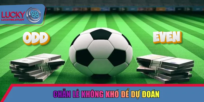 Chẵn lẻ không khó để dự đoán