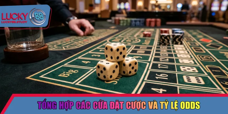 Tổng hợp các cửa đặt cược và tỷ lệ odds