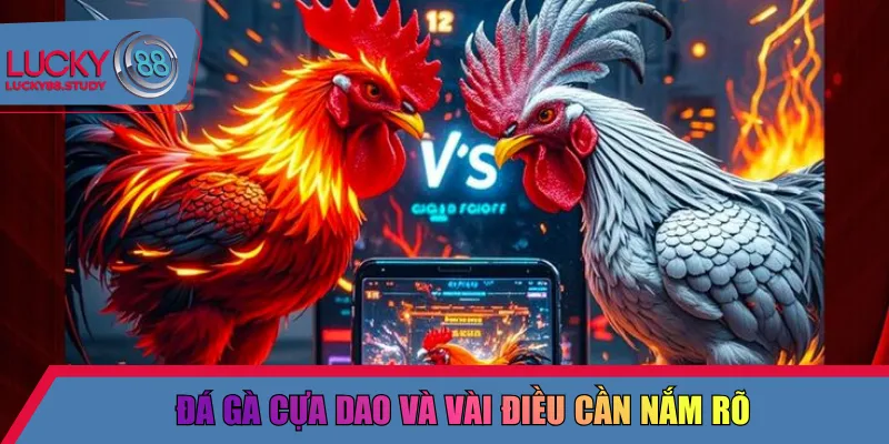 Đá gà cựa dao và vài điều cần nắm rõ