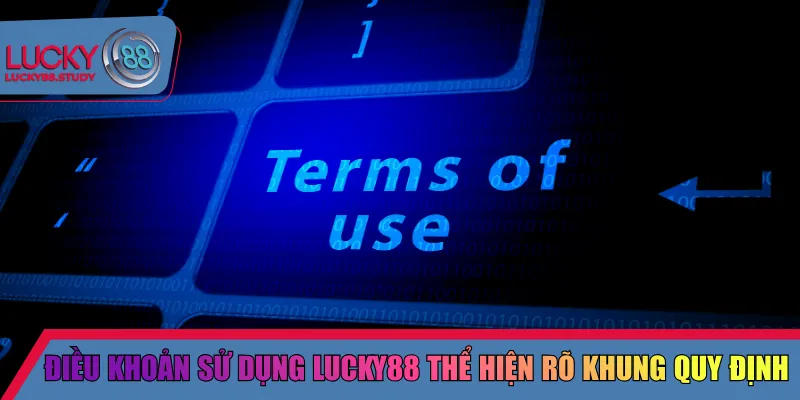 Điều khoản sử dụng Lucky88 thể hiện rõ khung quy định