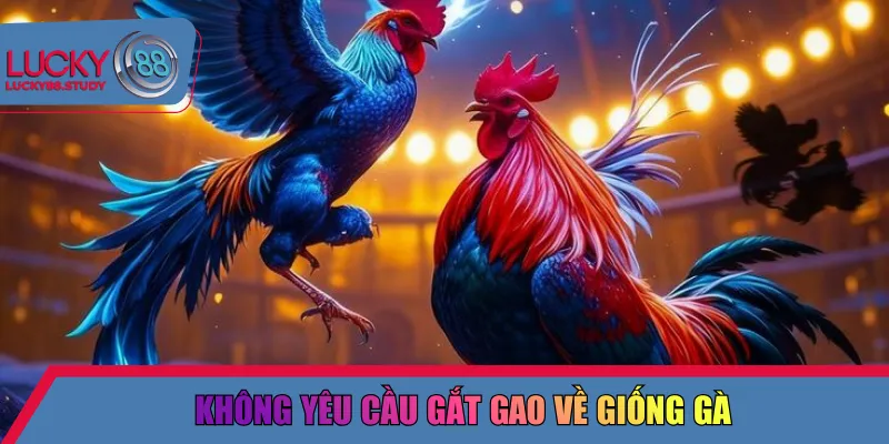 Không yêu cầu gắt gao về giống gà