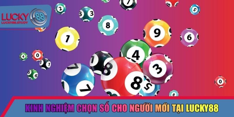 Kinh nghiệm chọn số cho người mới tại Lucky88