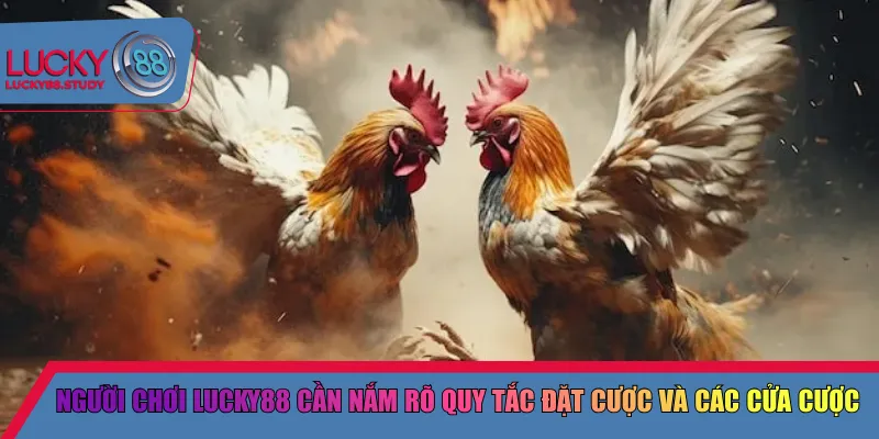 Người chơi Lucky88 cần nắm rõ quy tắc đặt cược và các cửa cược